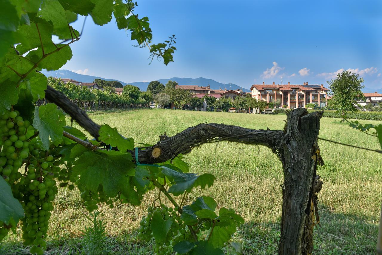 La Terrazza Sulle Vigne B&B Корте Франка Екстериор снимка